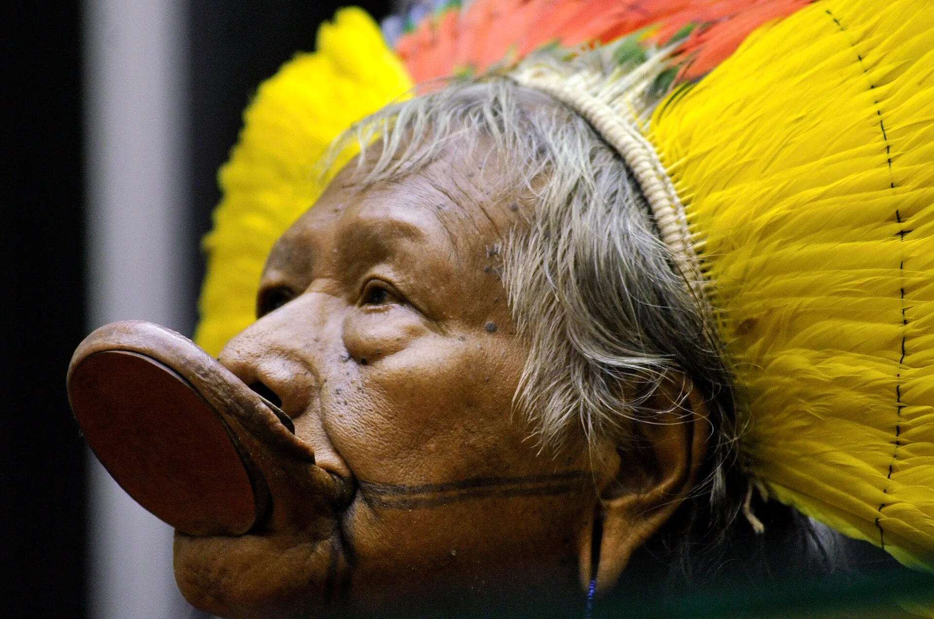 Retrato de perfil do cacique Raoni Metuktire, com cocar de penas amarelas.