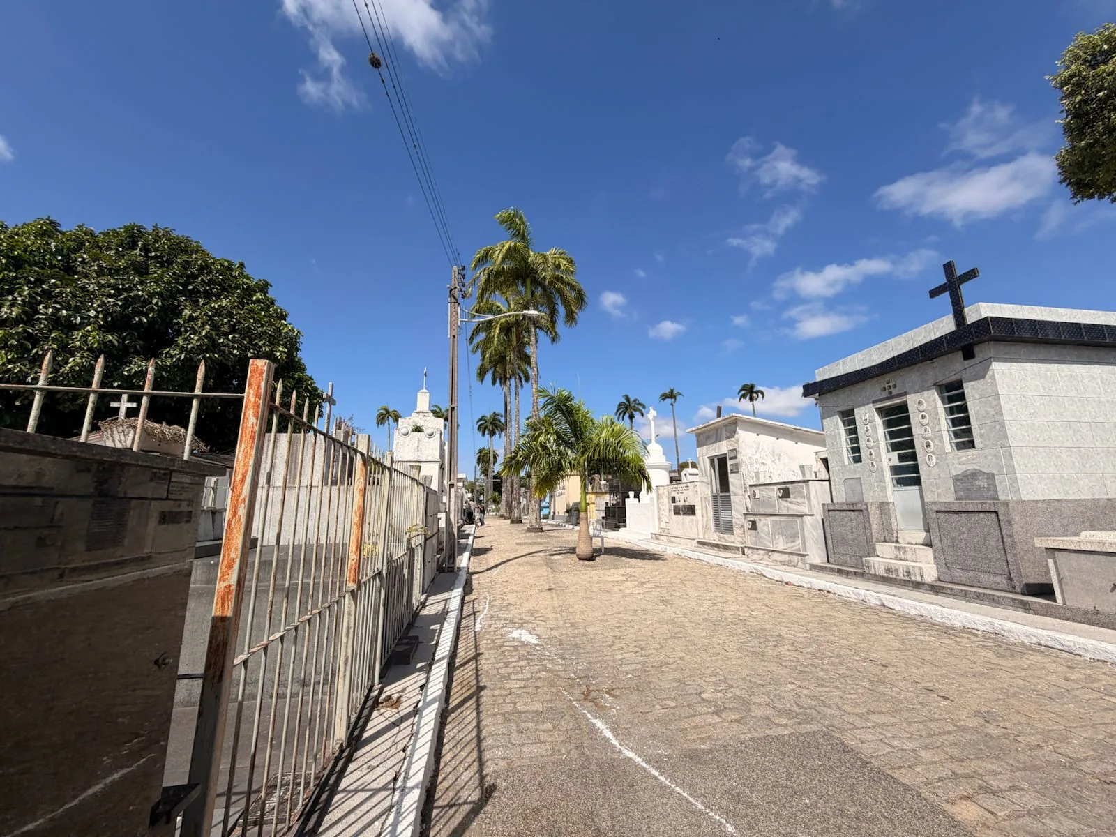 Corredor de um cemitério com túmulos brancos, uma cruz e palmeiras sob céu azul.
