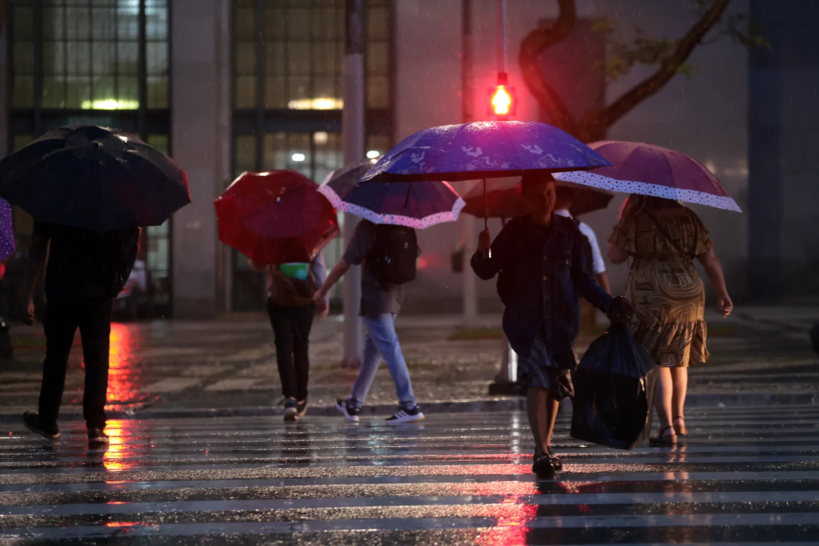 Pedestres com guarda-chuvas atravessam rua molhada durante chuva no centro de uma cidade.