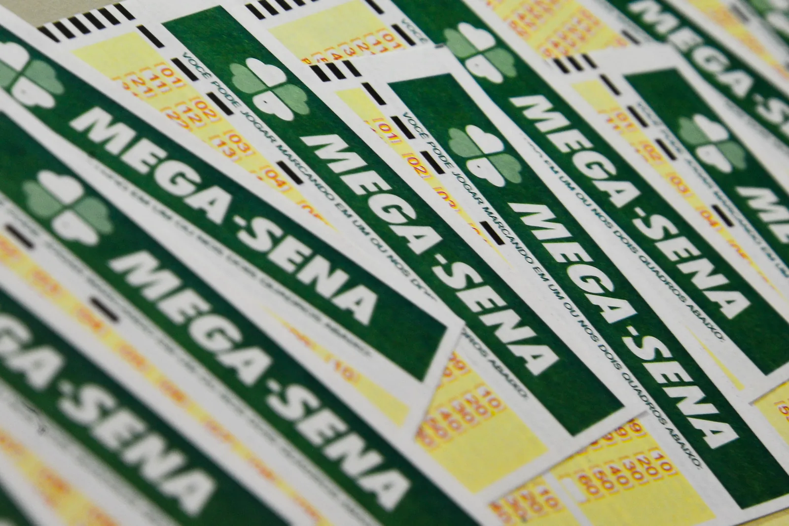 Vários volantes verdes da Mega-Sena enfileirados sobre uma superfície clara.